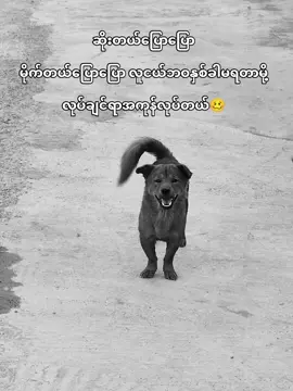 ဂရုမစိုက်ကြောင်း🥴🤌🏿 #foryoupage #credit #fyp #foryou #tiktok 