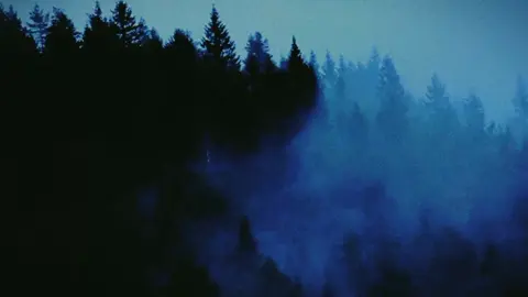 White Moose – The Ghost of the Northern Forests The white moose, often regarded as a symbol of mystery and spiritual power, roams the dense boreal forests of Scandinavia and Canada. Unlike albino animals, their striking white coloration comes from a rare genetic trait called leucism, which leaves their eyes dark while their coats shine snow-white. Moving silently through misty woodlands, they appear almost otherworldly—an embodiment of purity and resilience in nature’s wild tapestry. Sightings are rare and often considered sacred by local communities, making the white moose a living legend of the north. #WhiteMoose #SpiritOfTheForest #Leucism #NorthernWildlife #NatureMystery 