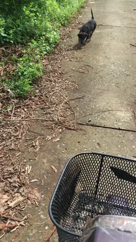 ngày nào đi bán tới đoạn này là đợi mẹ cho ăn ❤️#xuhuongtiktok 