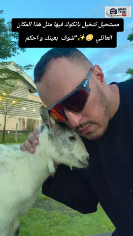 #creatorsearchinsights 