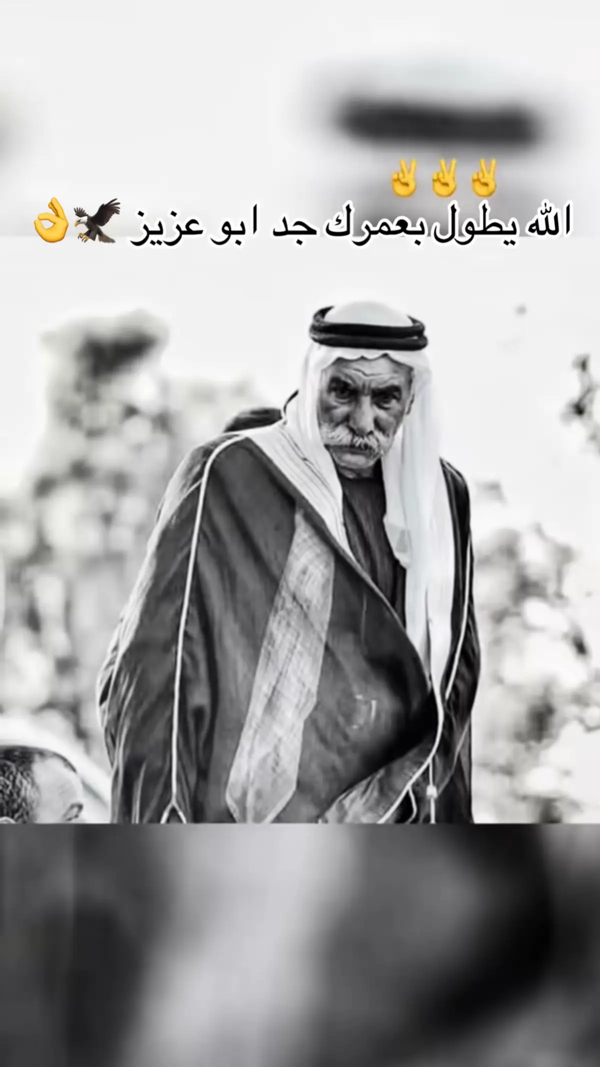 #الطوريf15 #رهط_تل_اسبع_اشقيب_عرعره_حوره_بير_هداج❤️ #الشيخ_صياح_الطوري @sleman_altore @طوري F_15 