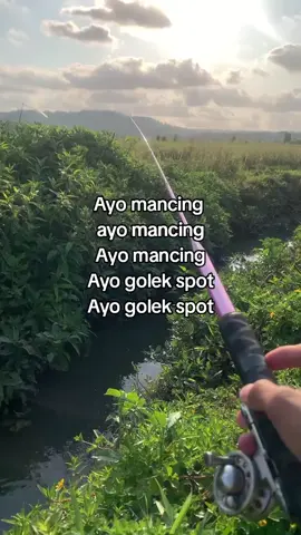 #fyp #mancing #fyp #mancing #fyp 