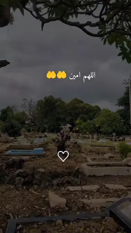 اللهم اغفر لامواتنا واموات المسلمين جميعا  #اللهم_امين_يارب_العالمين #دعاء_يريح_القلوب_ويطمئن_النفوس #دعاء_يريح_القلوب #اللهم_صلي_على_نبينا_محمد 