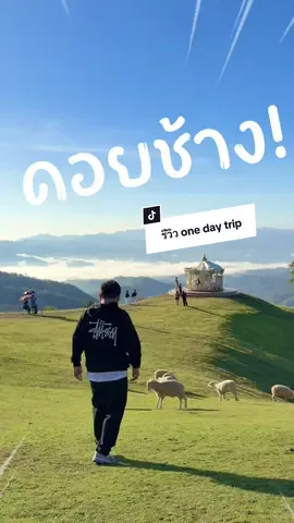 พูดไปไครจะเชื่อว่าผมขึ้นดอยช้างตอนตี5เพื่อวิวนี้ #ดอยช้าง #เชียงราย #ฟาร์มแกะ