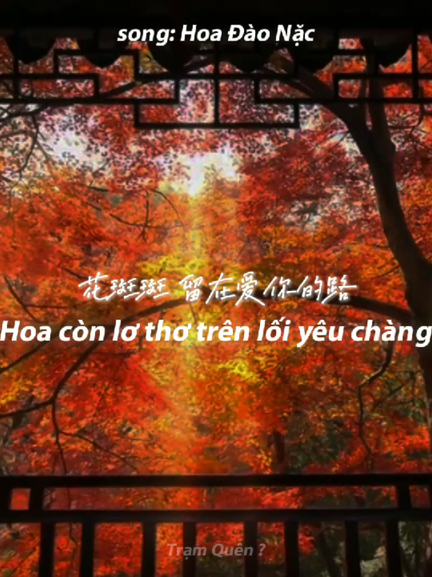 song: Đào Hoa Nặc.《桃花诺》#xh #nhactrung #桃花诺 #viral #nhactrungquoc 