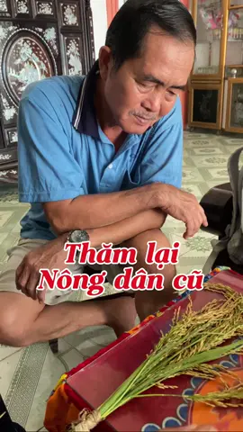 Lâu lâu thăm lại nông dân cũ mà chú khoe cái bông lúa hết hồn luôn #agrijapan #nongdan #nongnghiep #utcamradong 