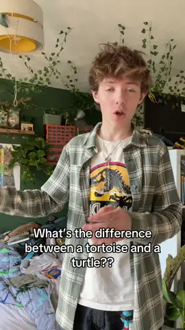 Tortoise and turtle #nerd #tortoise #turtle #fyp #fact 