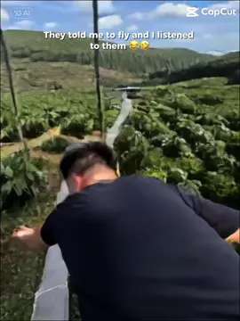 Bắt trend