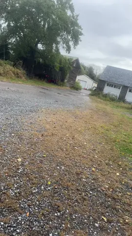 #diasdificileseneeuu😔 #trabajo🙏#LIVEIncentiveProgram #LIVEWithLessFollowers #PaidPartnership 