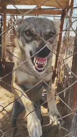 #المصممين #طوفان  #مصممين_العرب #يصعد #تصميمي 