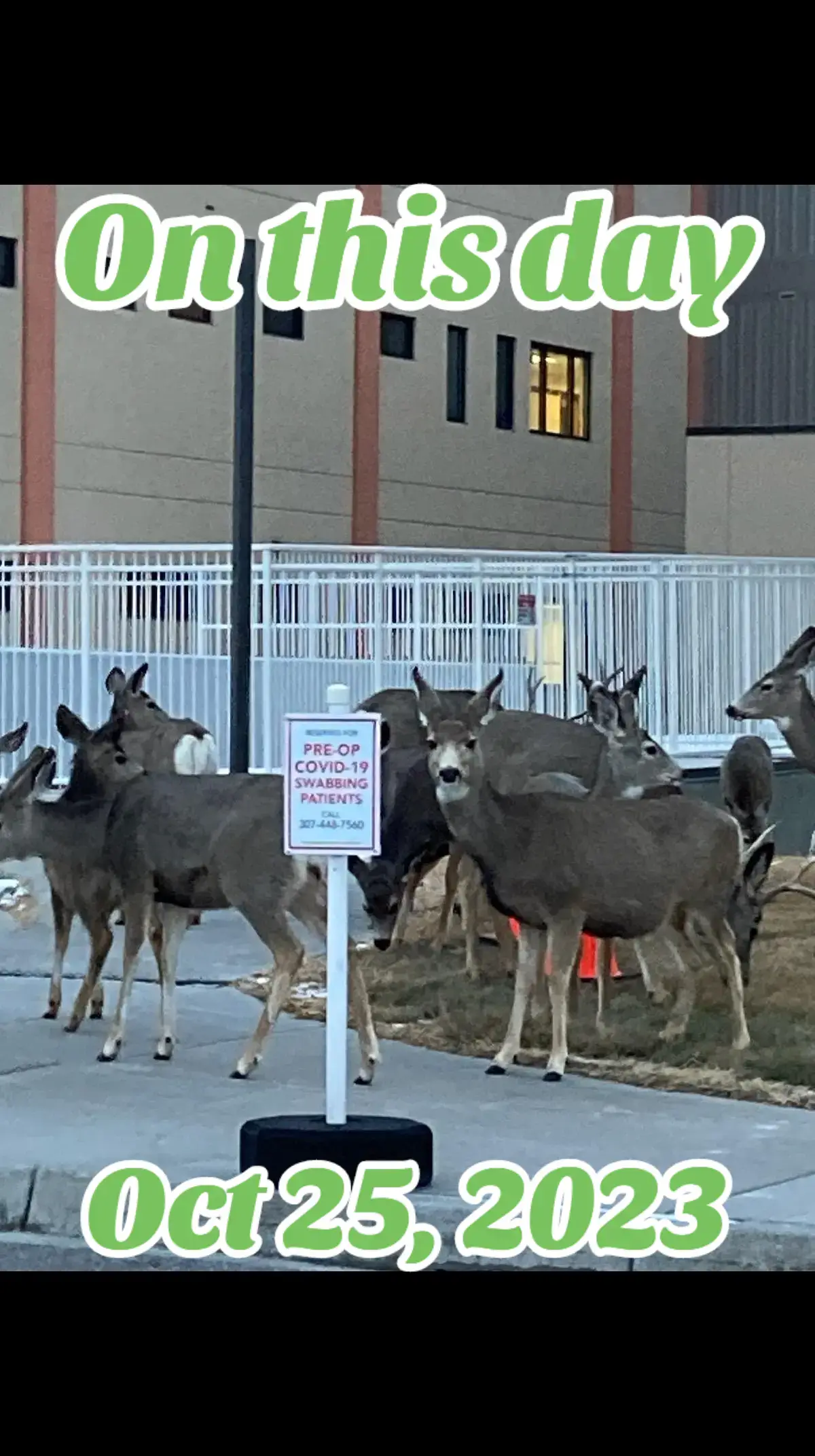 #onthisday #fyp #foryoupage #tiktok #fypシ 