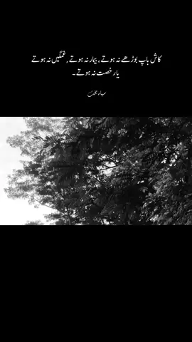 کاش باپ بوڑھے نہ ہوتے ، بیمار نہ ہوتے ,غمگین نہ ہوتے  یا رخصت نہ ہوتے ۔ #fyp #foryou #foryoupage 
