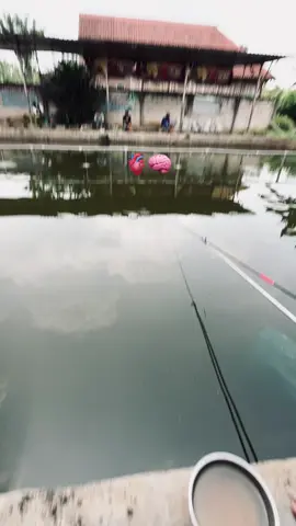 #promomakangajian #mancing #fyp 