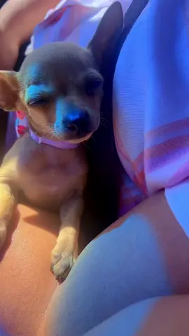 #sigueme_para_mas_videos_asi #viraltiktok #tiktokviral #chapines502🇬🇹 