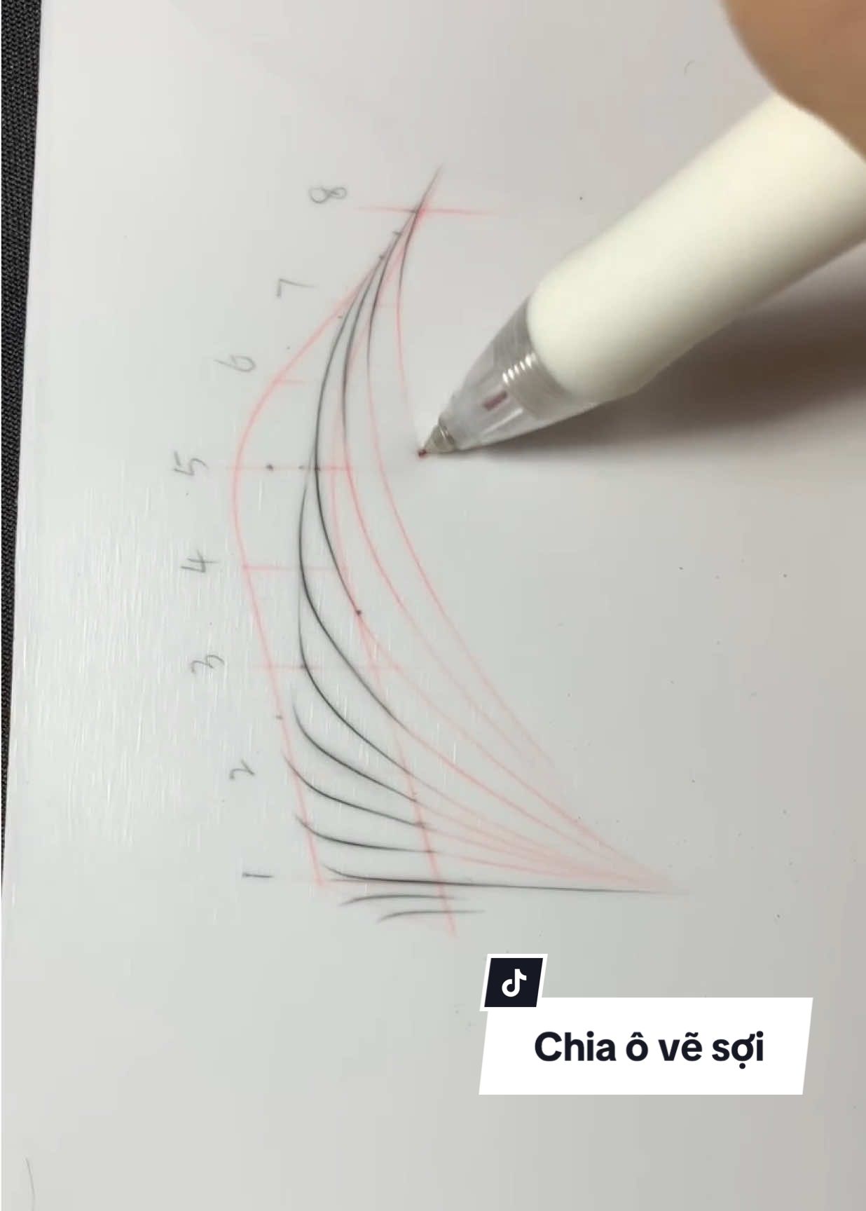 Tỷ lệ chi tiết từng mm luôn ạ #soihairstroke #xuhuong #xoasuachanmay #longmayphongthuy #vesoilongmay 