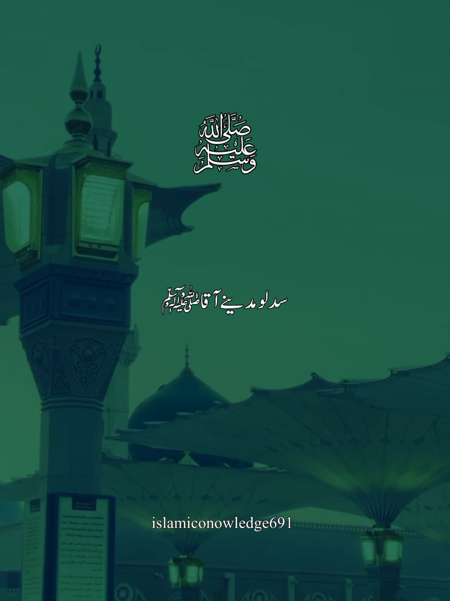 سد لو مدینے آقاﷺ #naatstatus #islamic_video #unfreezemyacount #foryoupage #fyp 