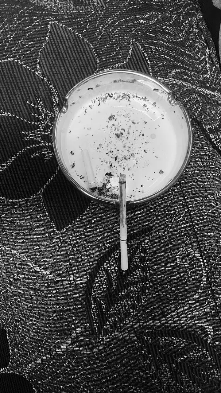 #مصطفى_الشويلي #شعر_شعبي #عمر_هادي #كريم_منصور #fyp 