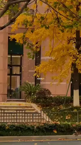 #осень#прекраснаяпора#стаспьехавалерия