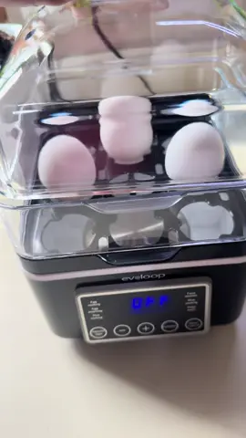 Desayuno rapido saludable #eggcooker #breakfastideas 