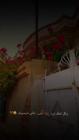 #ستوريات #حب #حديثه_عذراء_الانبار 