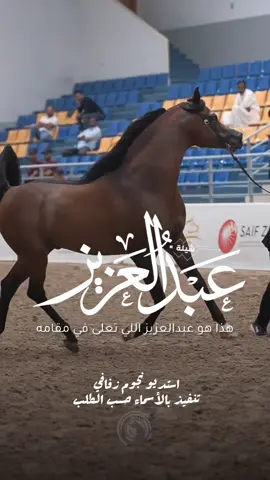 شيلة باسم عبدالعزيز 2026 شيلة مدح عبدالعزيز #استديو_نجوم_زفافي #لطلب_الشيلات_0505336824 #السعودية #الكويت #قطر  #تصميم_فيديوهات🎶🎤🎬تصميمي🔥 #تصميم_اسماء_حسب_الطلب #شيلة_باسم_عبدالعزيز #شيلة_عبدالعزيز #عبدالعزيز 