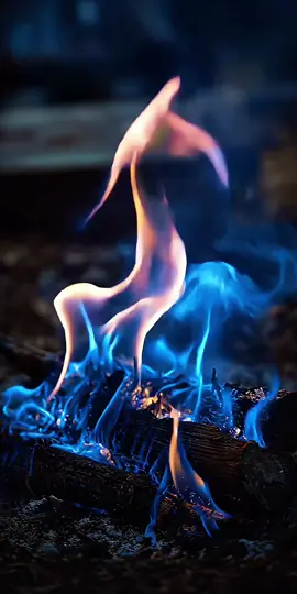 You can gaze endlessly at a campfire. And the crackling sound of its logs is so pleasant and soothing! 🔥 It transports you to a forest, where, surrounded by impenetrable trees, you admire the flames and enjoy the singing of birds or the sounds of a guitar. Or to the seashore, where a miles-long stretch of sand and pebbles is washed by sea waves, tired by evening, beckoning you to take a dip. #fire #bonfire #flame #livewallpaper #livewallpaper4k 