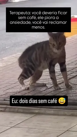 #gato #engracado #meme #cachorro #pet 