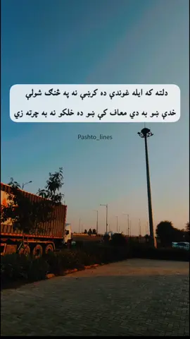 #pashtolines #poetry #fyp #popular 