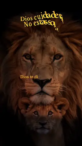 #cristianostiktoker #graciasporseguirmicuenta #graciasportuapoyo #sigueme_para_mas_videos #bendicionesparatodos🙏♥️♥️♥️♥️♥️♥️♥️ 