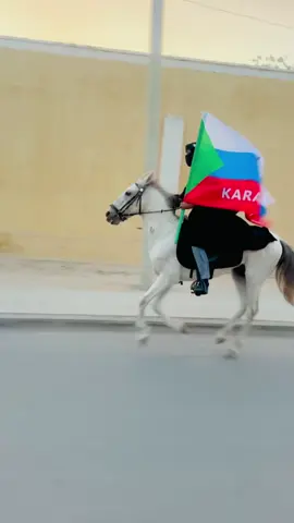 ma cida fardaha dhan ka jifan karaa🐎❤️👑😘#murusadenimo🐎🇵🇷 #karanle #somalitiktok #horse #foryoupage❤️❤️ 