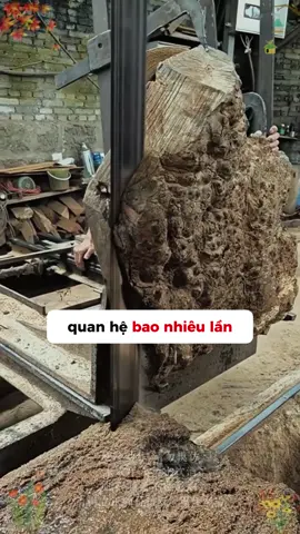 Dạy con mưu lược, khôn khéo #bingobooks #doinhanxuthe #noisaochokhachtumovi #doinhanxuthe 