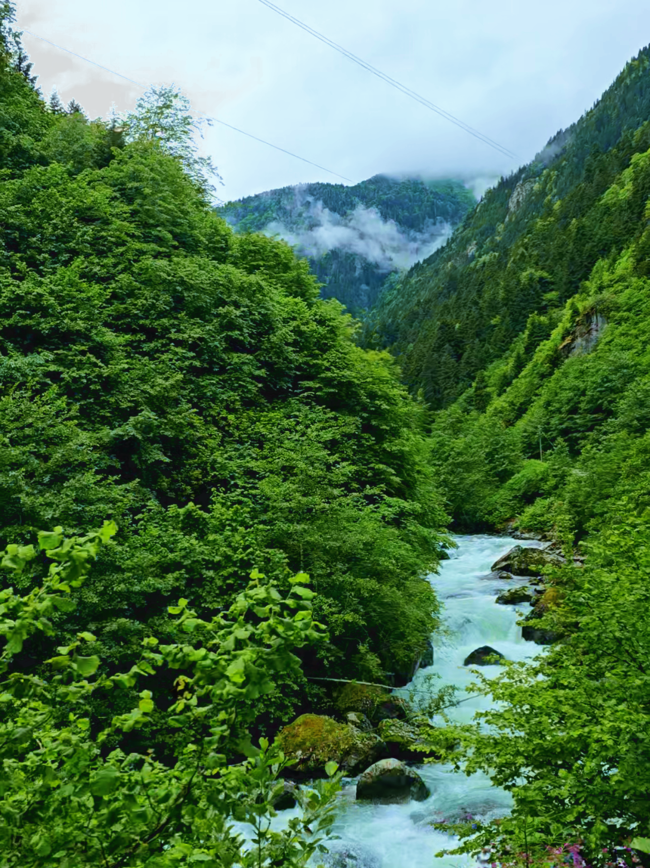 مرتفعات زيل كالي #zilkale #مرتفعات_الشمال_التركي #السياحة_في_تركيا #طربزون_اوزنجول #تركيا 