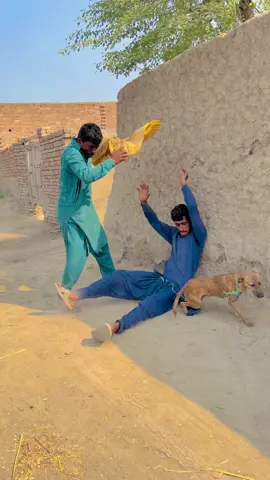 Chaloo 😂😂😂funny video #funnyvideos #foryoupage #reel #trending #viral 