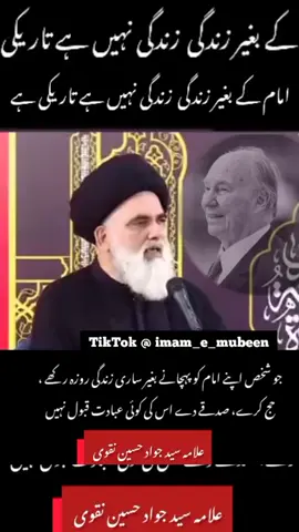 importance of imam in islam?  #shia #muslim #ismaili #yaali #imam 