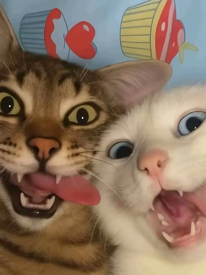 petir bago🤫😝 #fypp #tulungagung 