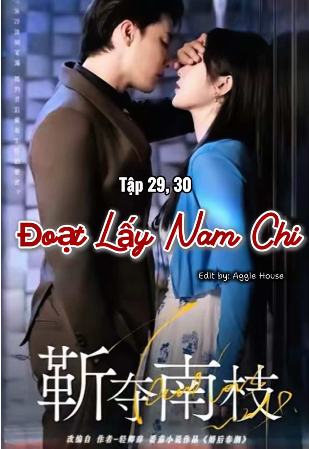 Phần 27 | Tập 29, 30 - Phim Đoạt Lấy Nam Chi (Đỗ Á Phi & Lưu Tịch Ngữ) #杜亚飞 #刘夕语 #靳夺南枝#aggiehouse #shortfilm 