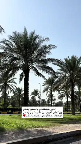 #تصويري #بغداد #حب #ترندات_تيك_توك 