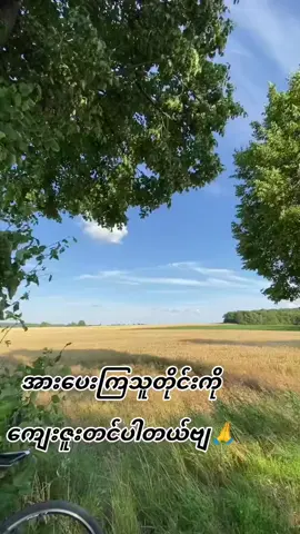 #မြန်မာသံစဥ်များကိုချစ်မြတ်နိုးသူ #မြန်မာသံစဥ်ချစ်မြတ်နိုးသူများသို့💕💕💕💕 #ရောက်ပါစေfyp #koaung #foryou 