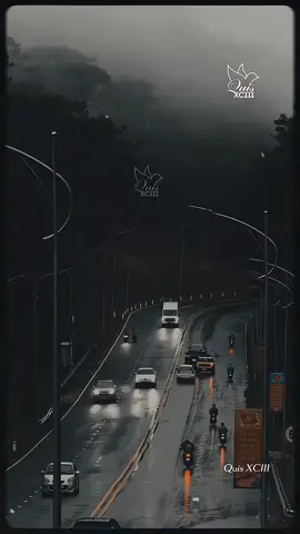 Anh nhìn sâu đôi mắt em, thấy màu tâm tư trĩu nặng...  #quisxciii #quyenyeuduoi #cover #nhachaymoingay #nhachay 