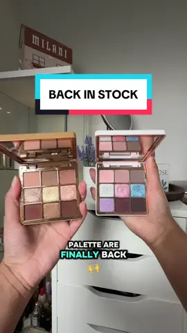 Sugar & Spice Bundle  The perfect duo palettes #sugarpalette #spicepalette #anastasiabeverlyhills #ABHHOLIDAY #FYP  @Anastasia Beverly Hills 