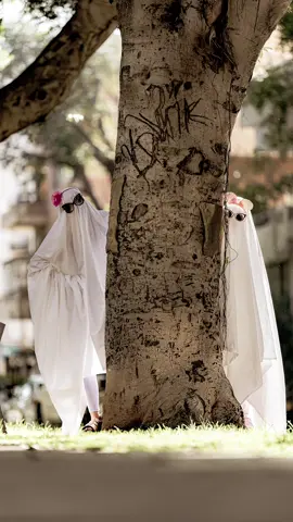 #Halloween #ghosts  Happy Halloween 🎃 and don't put off 🙏life for later