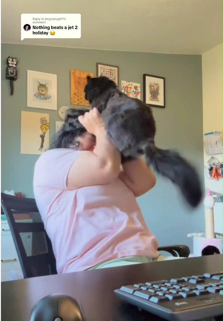 The cat attacks the owner #fyp #cat #Foryou #funny #catsoftiktok 
