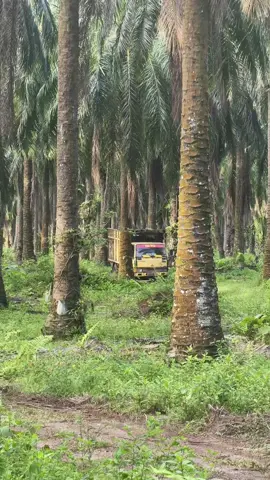 #drivermuda  #hanyakulisawitbossq 