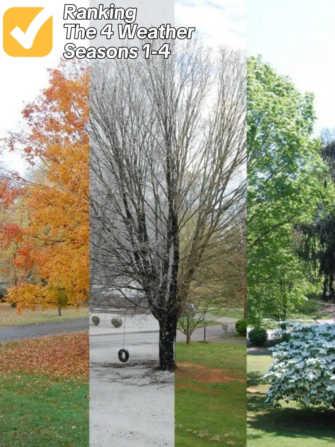 #winter #fall #Summer #spring #weatherseasons 