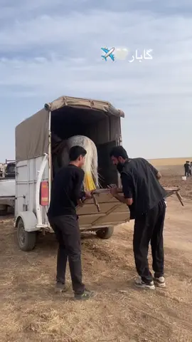 #foryou #foryoupage #خيل_وخياله🐎 #سبحان_الله_وبحمده_سبحان_الله_العظيم #اللهم_صلي_على_نبينا_محمد @🦅هەلۆ میرانی🦅 