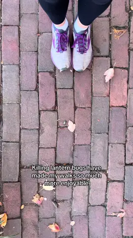 So satisfying too, but does make me feel like I have serial killer tendancies.  #walk #clearmyhead #laternbug 