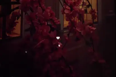 أنا قلبي اتشد وحب بجد