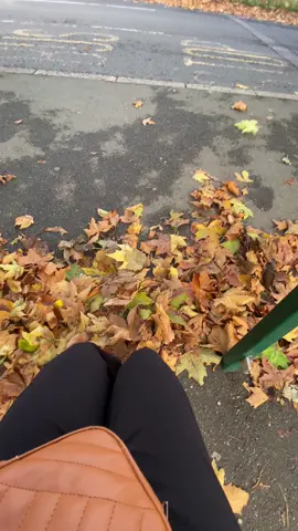 #autumn #uk2025 #fall #tik_tok #uk 