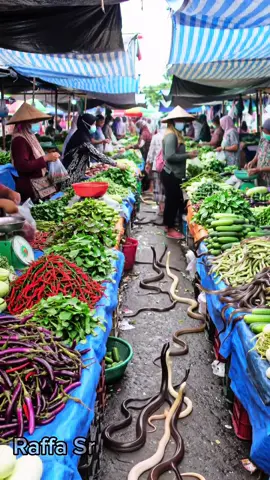 #animalmarket #snakekingcobra #animals #short 