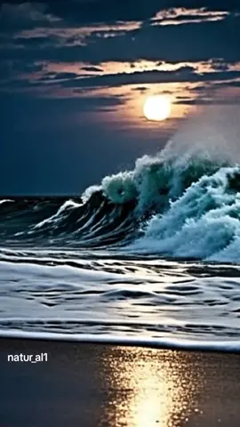 Waves fade, but the moonlight stays. 🌊🌙